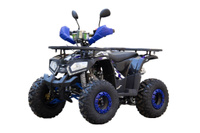 Квадроцикл UNIVERSAL ATV 125 TM Fusion plus UNIVersal