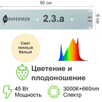 Цветонос 2.3. a - Цветение и Плодоношение. Белый свет.