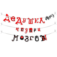 Гирлянда "Дедушка Мороз, подари мозгов!"