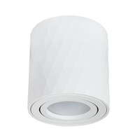 Накладной светильник Arte Lamp Fang A5559PL-1WH