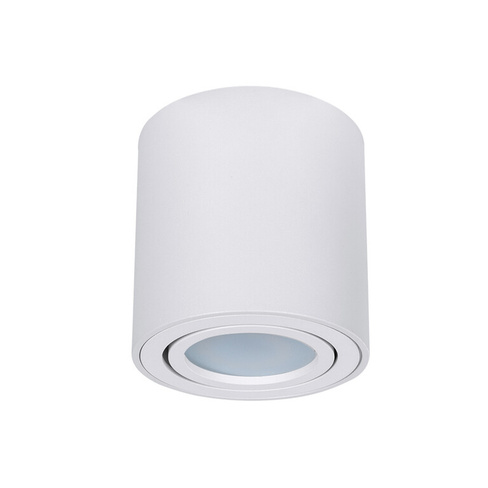 Накладной светильник Arte Lamp Beid A1513PL-1WH