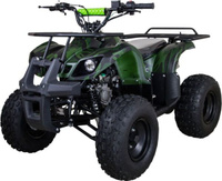 Квадроцикл RAPTOR ATV 200U PREMIUM ALL 200cc 4Т Raptor