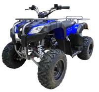 Квадроцикл MOTAX ATV Grizlik 200 Motax