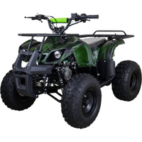 Электроквадроцикл AVANTIS ATV Classic 8E (1000W) Avantis