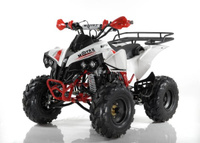 Квадроцикл MOTAX ATV Raptor Super LUX 125 cc Motax