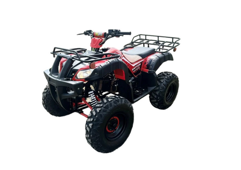 Квадроцикл RAPTOR Madman 200 All Raptor