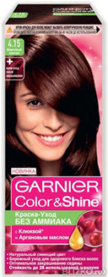 Garnier Краска 4.15 Купить