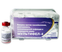 Вакцинация кошек МУЛЬТИФЕЛ-4