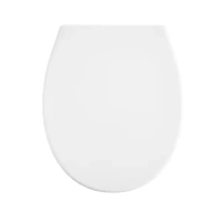Сиденье для унитаза Sensea Remix YHUF-X67 с микролифтом цвет белый SENSEA