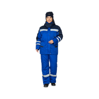 Костюм рабочий женский Зима утепленный, куртка+полукомбинезон, василек+синий Кос206