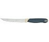 Нож для стейка 12,5 см Tramontina Multicolor